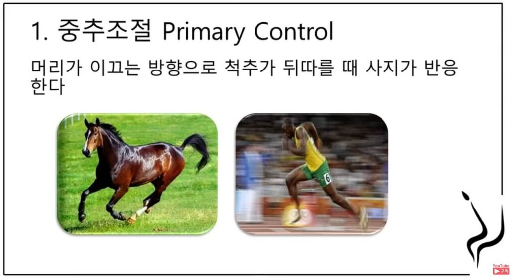 중추조절